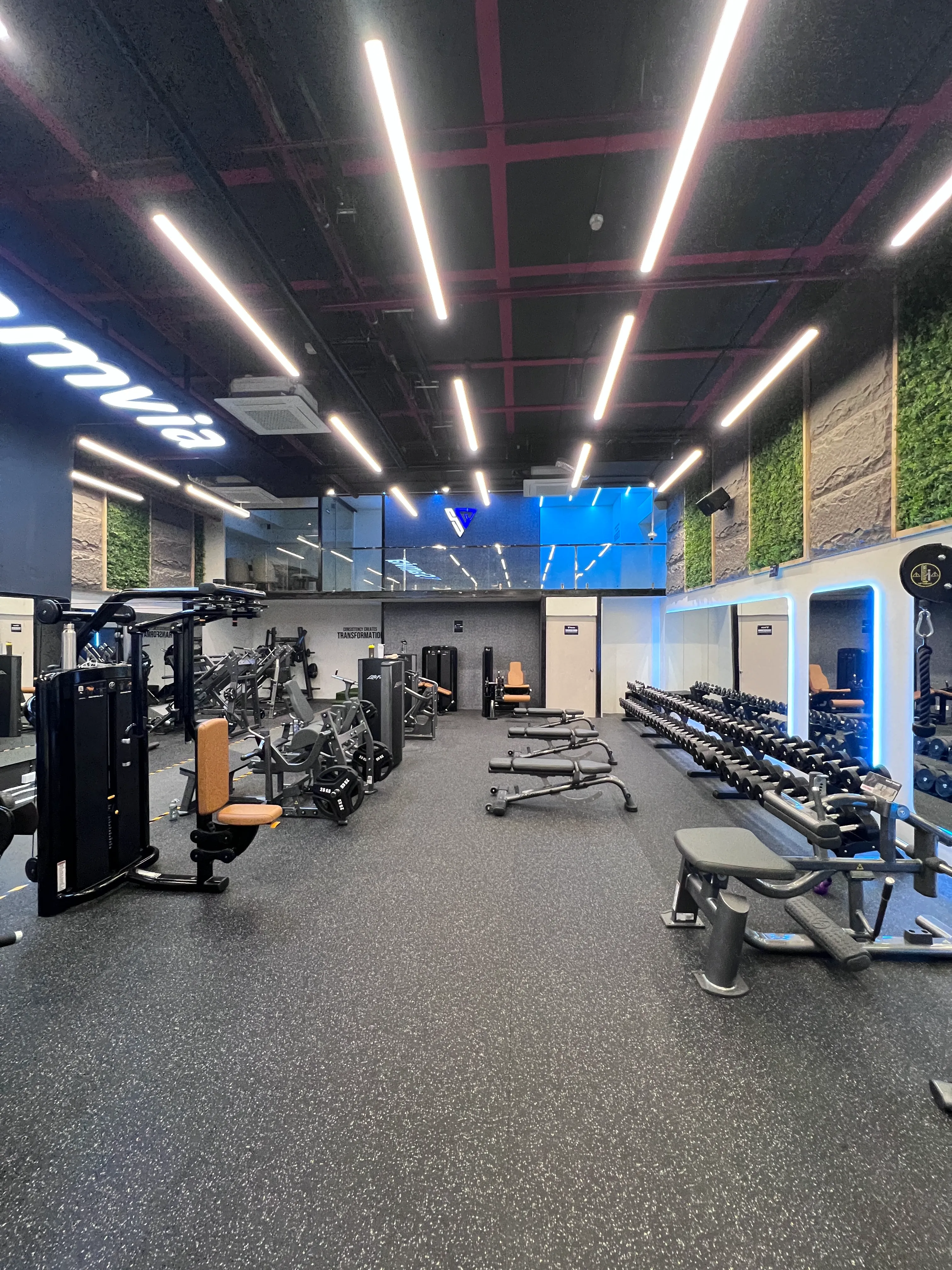 Stamvia Strength Floor